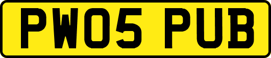 PW05PUB