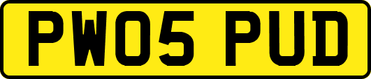 PW05PUD