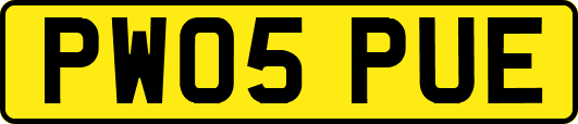 PW05PUE