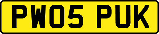 PW05PUK