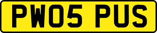 PW05PUS