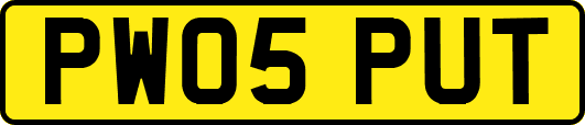 PW05PUT
