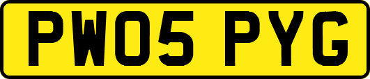 PW05PYG