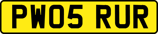 PW05RUR
