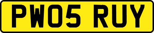 PW05RUY