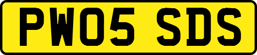 PW05SDS