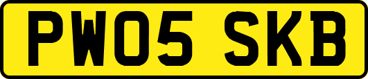PW05SKB