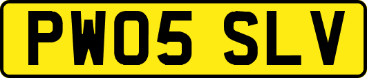 PW05SLV