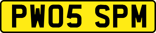 PW05SPM