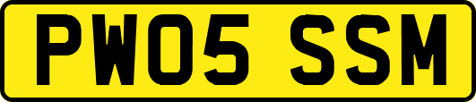 PW05SSM
