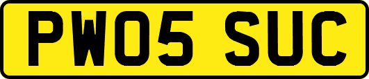 PW05SUC