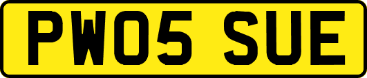PW05SUE