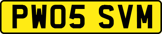 PW05SVM
