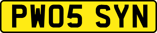 PW05SYN