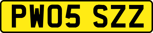 PW05SZZ