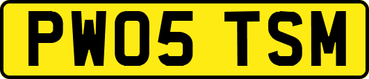 PW05TSM