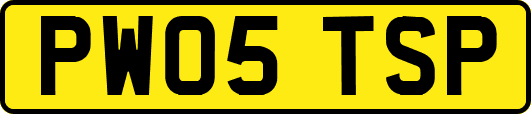 PW05TSP