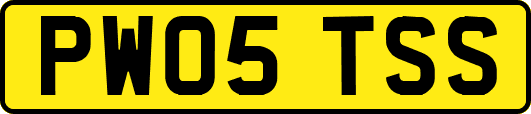 PW05TSS