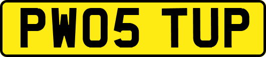PW05TUP