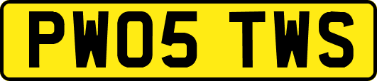 PW05TWS