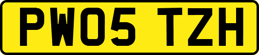 PW05TZH
