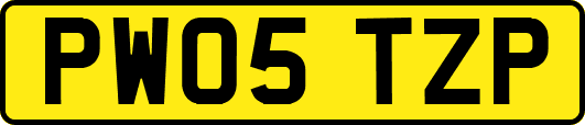 PW05TZP