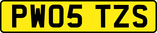 PW05TZS