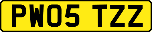 PW05TZZ