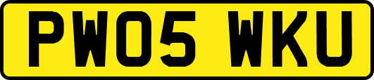 PW05WKU