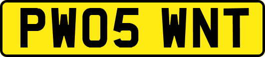 PW05WNT