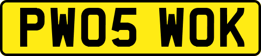 PW05WOK