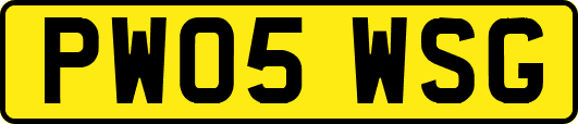 PW05WSG