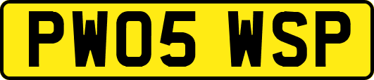 PW05WSP