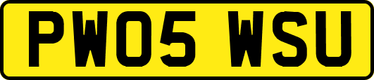 PW05WSU