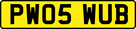 PW05WUB