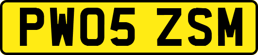 PW05ZSM