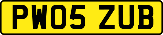 PW05ZUB