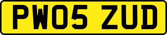 PW05ZUD