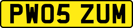 PW05ZUM