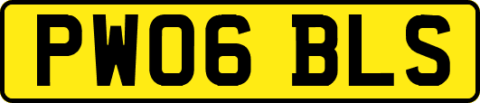 PW06BLS