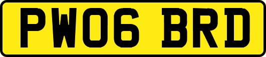 PW06BRD