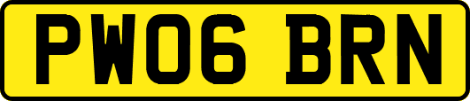 PW06BRN