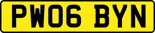 PW06BYN