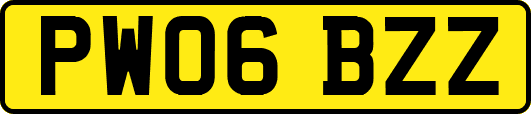PW06BZZ