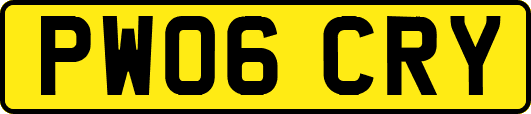 PW06CRY
