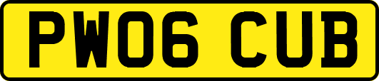 PW06CUB