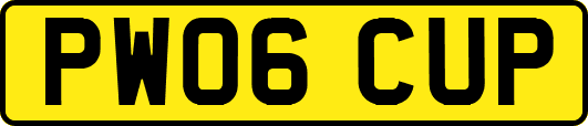 PW06CUP