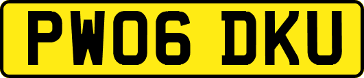 PW06DKU