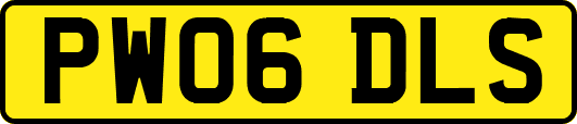 PW06DLS