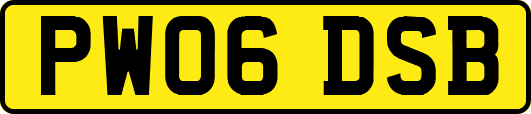 PW06DSB